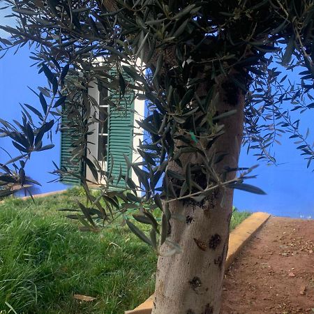 Casa Dos Mangues ξενώνας Sao Martinho do Porto Εξωτερικό φωτογραφία