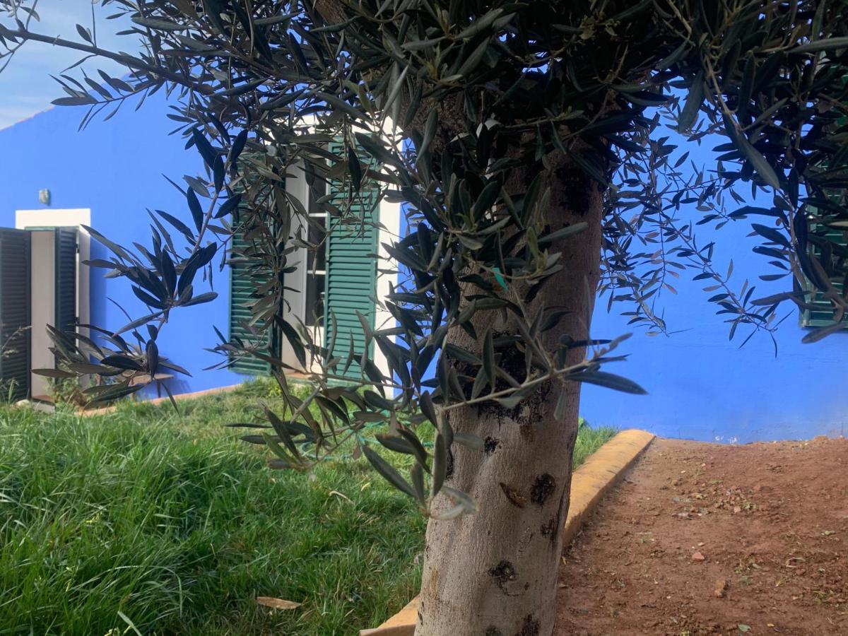 Casa Dos Mangues ξενώνας Sao Martinho do Porto Εξωτερικό φωτογραφία