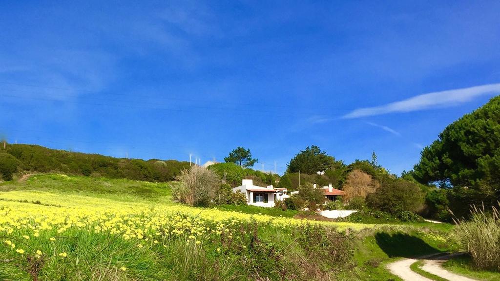 Casa Dos Mangues ξενώνας Sao Martinho do Porto Εξωτερικό φωτογραφία